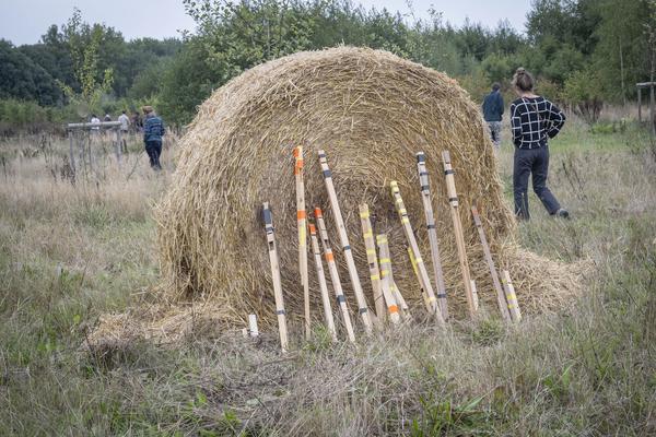 (image : Bea Borgers) (image : Bea Borgers)
